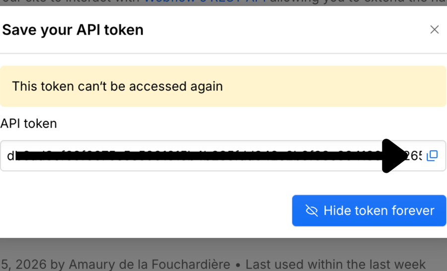 Der Webflow-Dialog Save your API token